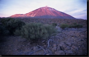 Symbolem národního parku je sopka Pico del Teide