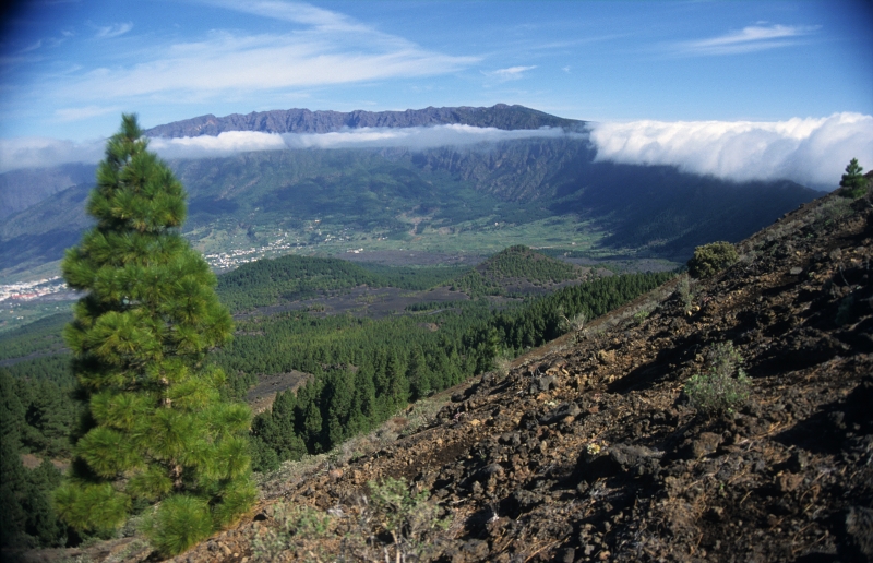 Ostrov La Palma