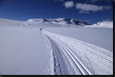 Parádně udržované běžecké tratě na nekonečných pláních Hardangerviddy