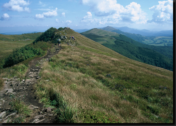 Polské Karpaty, Bieszczadské poloniny